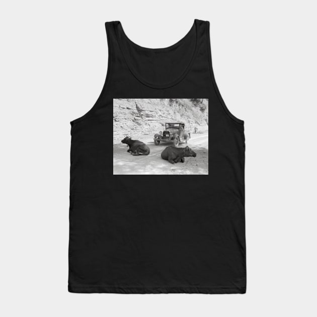 Cows Blocking Road, 1940. Vintage Photo Tank Top by historyphoto